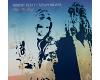 Robert Plant & Alison Krauss - Raise The Roof (vinyl)